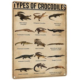 HYBLOM Types Of Crocodiles Tin Sign - Retro Farmhouse, Classroom & Office Wall Decor Educational Metal Poster - Gift for Crocodile Enthusiasts 8x12 Inches