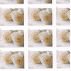 100 FOREVER STAMPS 5 SHEETS White Rose Wedding Invitations