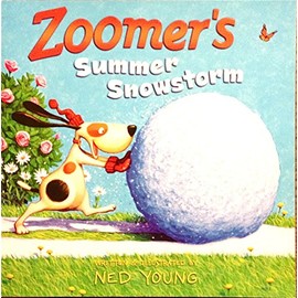 Zoomer's Summer Snowstorm