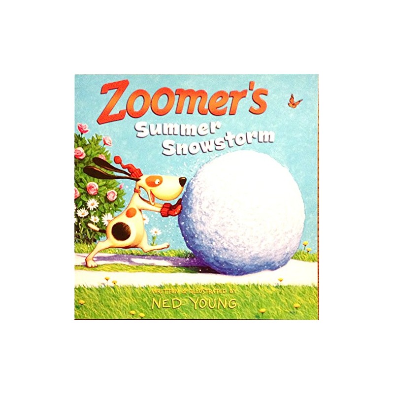 Zoomer's Summer Snowstorm