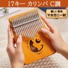 NOELAMOUR Kalimba 17 Keys Wooden Cat Cute Beginner Kalimba Thumb