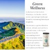 Silverpot Green Tea with Jasmine - 50 Round Tea Bags