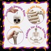 5.75ft Life Size Posable Halloween Skeleton, Movable Joints