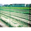 Daio Kasei Idea Net, Approx. 1.0 inch (25 mm) Eye,