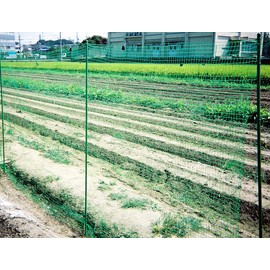 Daio Kasei Idea Net, Approx. 1.0 inch (25 mm) Eye, 6.6 x 13.1 ft (2