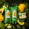 Kit Shampoo y Acondicionador Herbal Essences Pequi y Aguacate 650ml