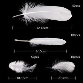 300 pcs White Feathers for Crafts Goose Feathers DIY Dream Catchers