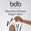 Billion Dollar Brows Kit Best Sellers, incluye lápiz universal para