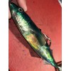 OC 2 Mackerel Monster Swim-bait 10-1/2in. Iridescent Soft 9.5oz. (270g.)