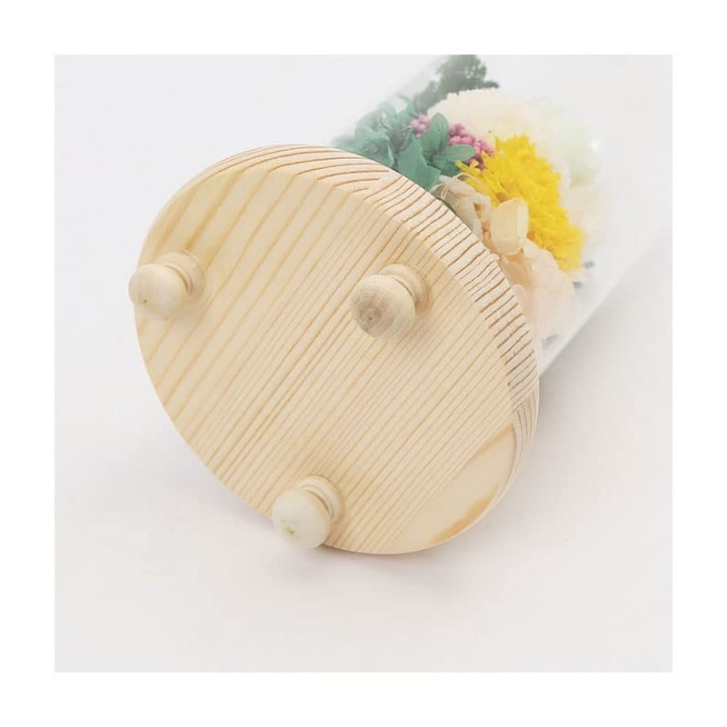 Offering Glass Dome Glass Dome Shizuki