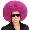 Widmann Afro Wig, One Size