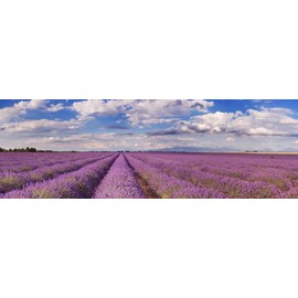 Lavendelseife aus Frankreich