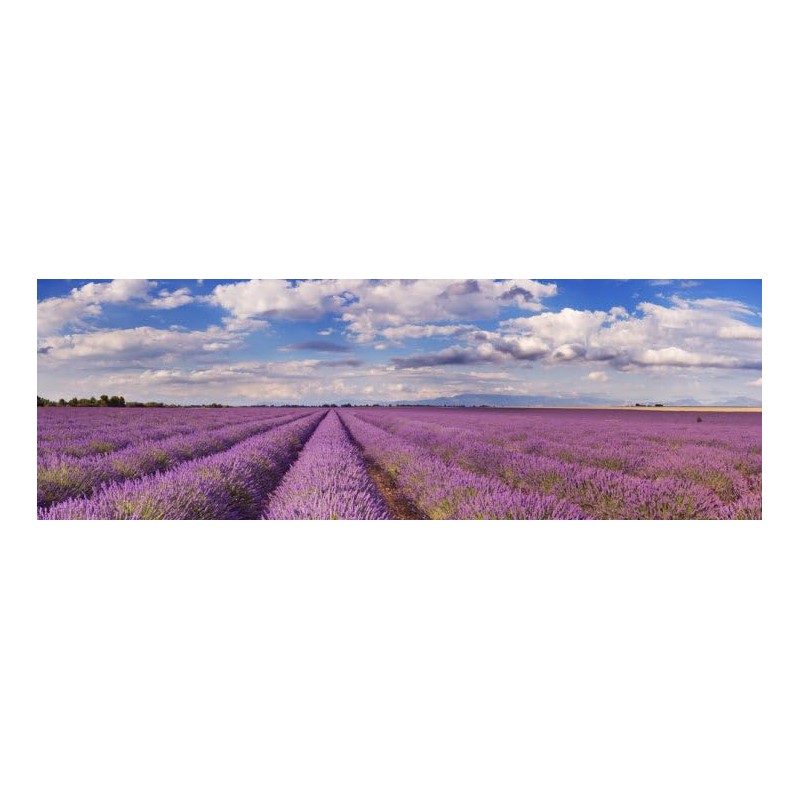 Lavendelseife aus Frankreich