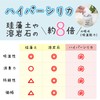 Cremation Urn Desiccant Hyper Silica Gel 1 Piece Small Amulet