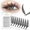 Premade Spire Eyelashes Manga Lash Fans C/D Curl Anime Spiky