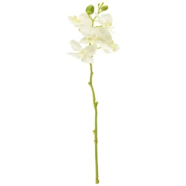 Tokyodo FM005189-001 Artificial Flowers MAGIQ Reina Faleno, White, Flower Diameter 2.0 - 2.2 x 11.8 inches (5 - 5.5 x 30 cm)