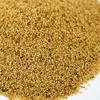 Organic Amaranth Seeds- 1 Lbs- Grain Seed for Sprouting Sprouts,