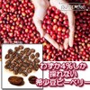 Coffee Beans, Freshly Roasted Chocolat Peaberry, Brazil Galactic Coffee (5.3
