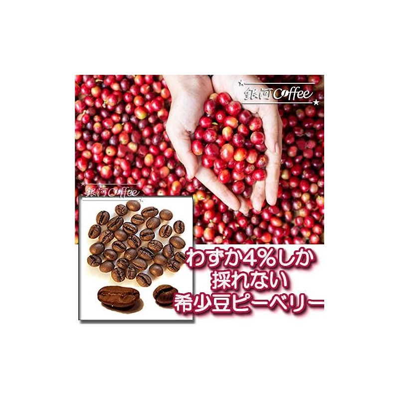 Coffee Beans, Freshly Roasted Chocolat Peaberry, Brazil Galactic Coffee (5.3