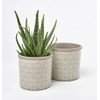 Burgon & Ball Tuscany Ceramic Indoor Planter - Pale Grey,