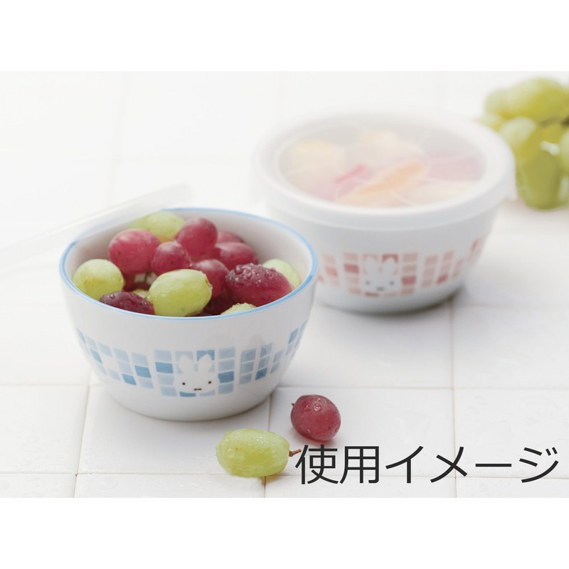 Kaneshotouki 278764 Miffy Mosaic Art Miffy Pair Set, Storage Containers
