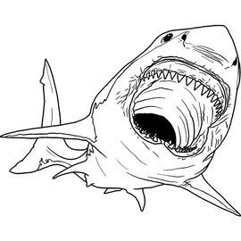 A7 'Great White Shark Bite' Unmounted Rubber Stamp (RS00047605)