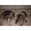 Power Calls Yelper | Easy to Use Ultra Realistic Turkey