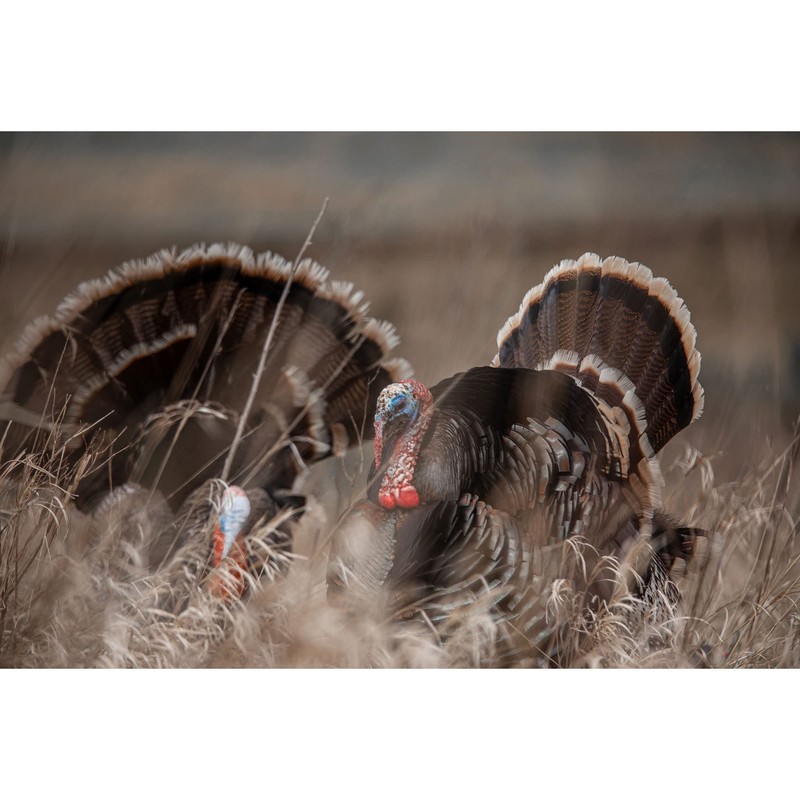 Power Calls Yelper | Easy to Use Ultra Realistic Turkey