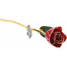 PRECIOUS STARS Gold Dipped Rose 24K Real Flower, 12 inch Long stem, 24k Gold Plated Real Rose, Gifts for Mom, Birthday Gift for Women, Mothers and Valentines Day, Rose for Anniversary (Red Lacquer)