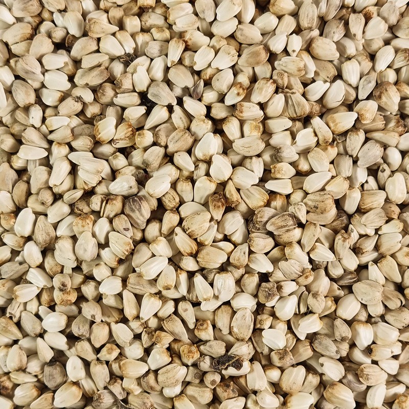 Oh Herb Domestic safflower seeds 500g / 국내산 홍화씨 홍아씨
