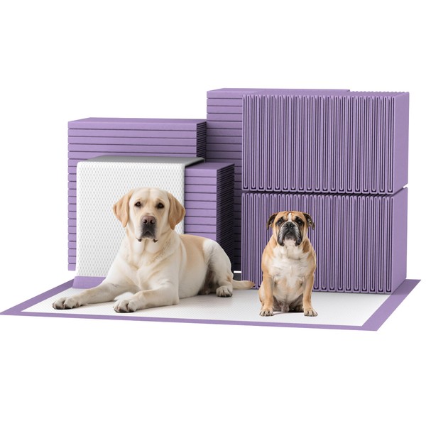 Bulubaky 30"x36" Lavender Scented Thicken 6 Layers Heavy Absorbent Pet