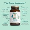 Pure Synergy Vital Ocean Magnesium for Energy & Sleep 60