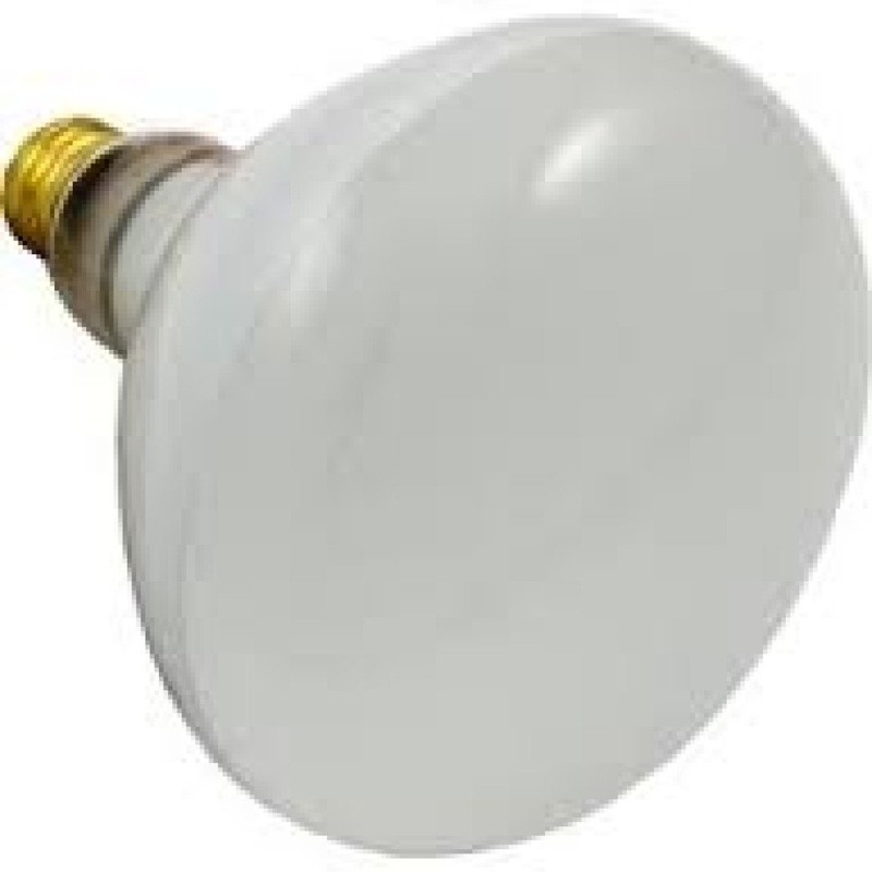 Hayward SPX0504Z7, SPX504-Z-7, SPX504-Z7, SP0503, SP0504, 500 Watt 120 Volt,