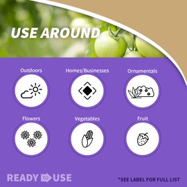 Bonide Bonide Bug Beater Stink Bug Trap, Attracts and Catches Stink Bugs Indoors and Outdoors, Long Lasting and Odorless Protection