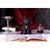 Nemesis Now Count Catula 15.5 cm Resin Black