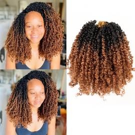 IIFLYDSFA Pre Looped Yanky Twist Crochet Hair 14 Inch 8 Packs Black to Brown Ombre 1B/30# Fluffy Spring Mini Twist Passion Twist Bohemian Synthetic Crochet Braiding Hair