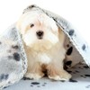 TBK Pets Double-Sided Fleece Pet Blanket, Soft Snuggle Blanket for