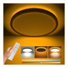 Antree LED Ceiling Light, 30 W 3600 lm, Stylish Ceiling