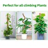 Dimpoo 48 Inch Moss Pole Monstera Plant Support, Coir Moss