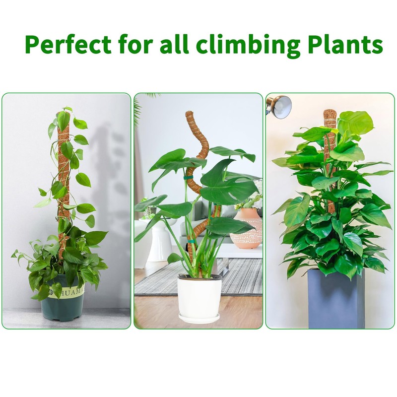 Dimpoo 48 Inch Moss Pole Monstera Plant Support, Coir Moss