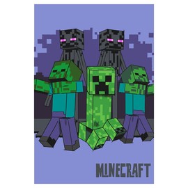 Jerry Fabrics Minecract Fleece Blanket - Super Soft Blanket Fleece Throws 100 x 150cm - Gifts for Children, Teenagers and Adults Bedspread Throw