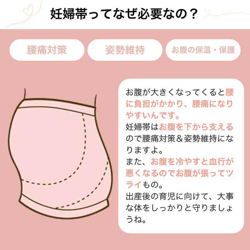 Pregnancy Belt Spats Type (L-LL)