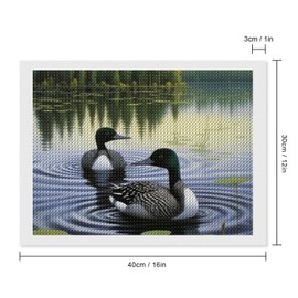 TEERMLLQWA Loons Swimming Lake Lily Pads Diamond Art Painting Art Paint by Numbers 5D Diamond Art Kits DIY Diamond Art Painting for Home Office Wall Decor 12"x16"