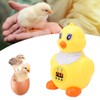 Automatic Egg Incubator Automatic Temperature Control Incubator for Chickens Ducks