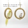 Bird Swing, Bird Toy, Swing for Small Birds, Pet Swing,
