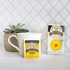 Newman's Own Organic Turmeric Ginger Herbal Tea, Caffeine-Free, Savory &