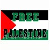 Flags Importer Free Palestine 3x5Ft Large Flag Banner Free Gaza