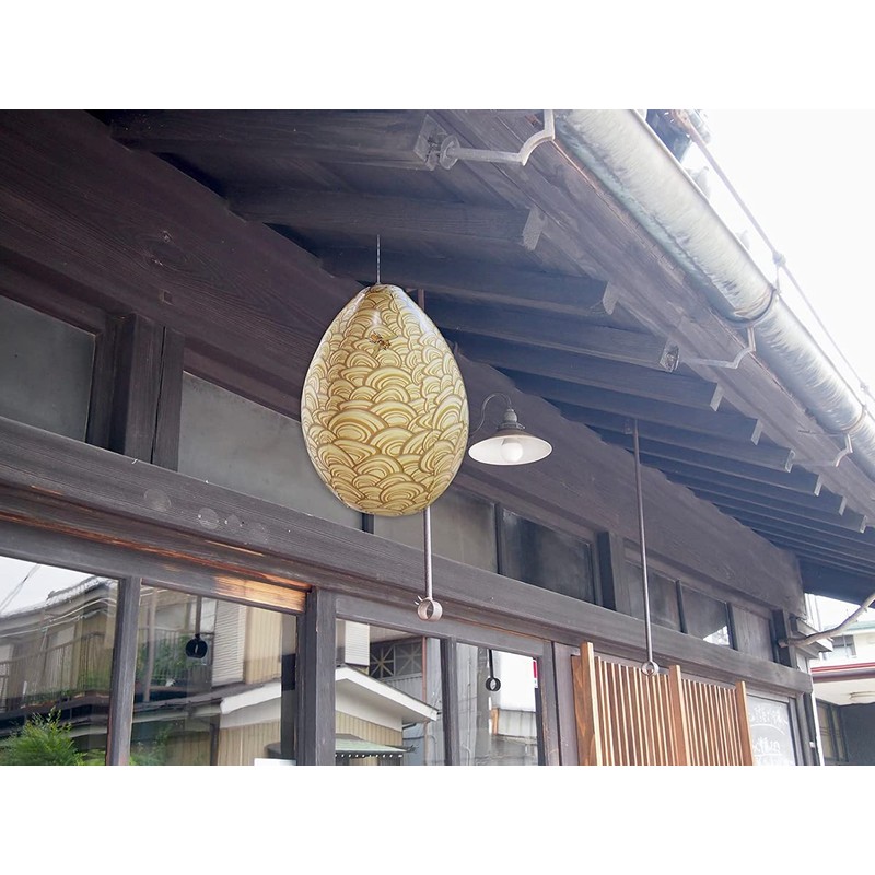 Beehive Guard Before Hornet's Nest