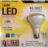 65 Watt Replacement LED Dimmable Br30 Flood