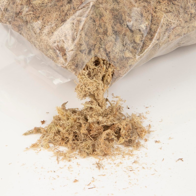THE Sphagnum Moss 6L